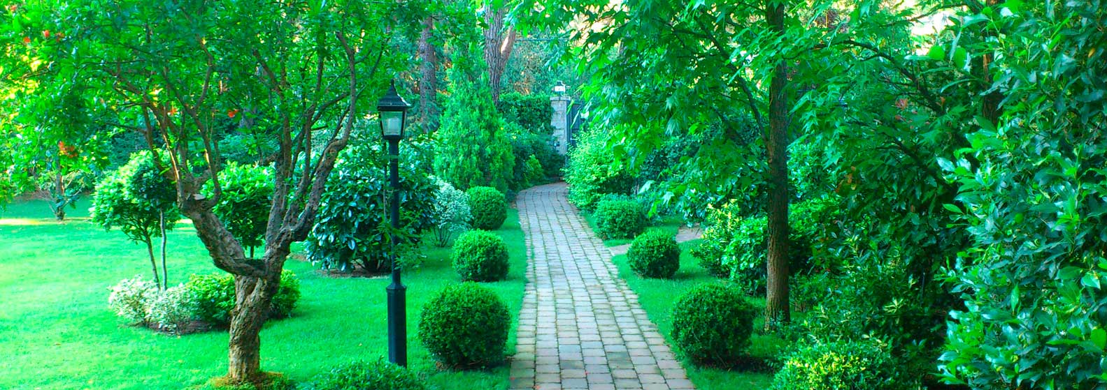 &Eacute;vora Jardiner&iacute;a