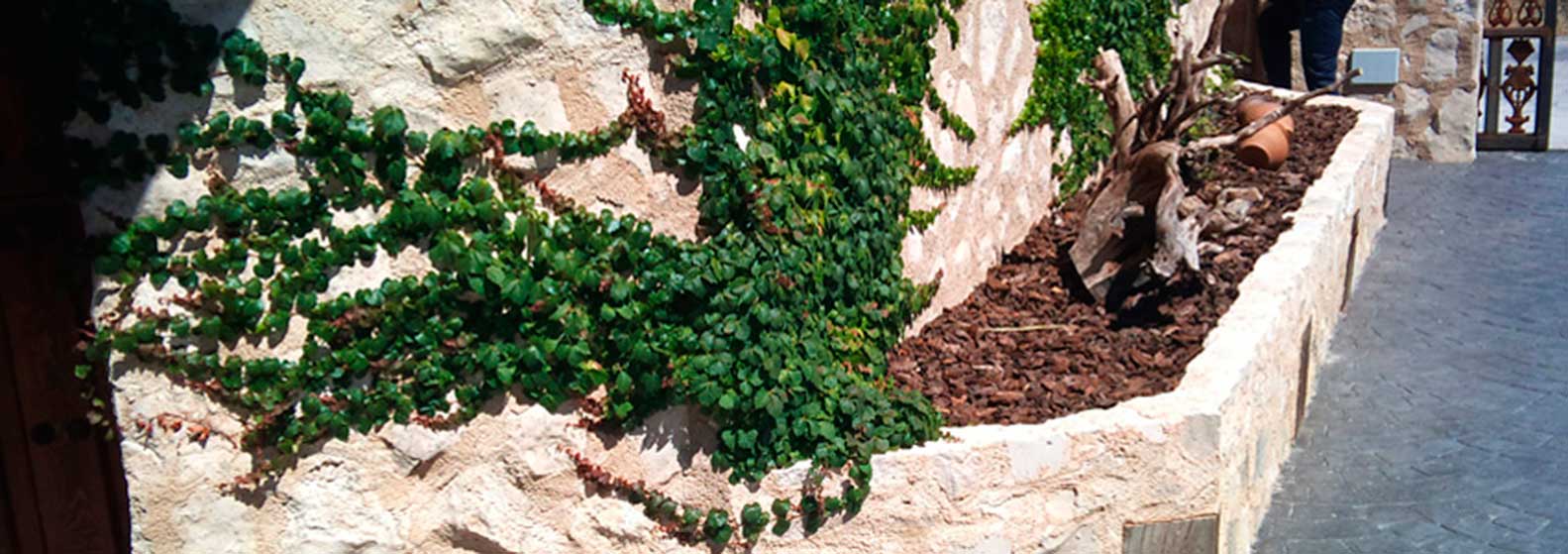 &Eacute;vora Jardiner&iacute;a