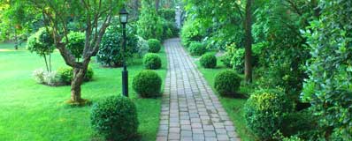 Mantenimiento de jardines