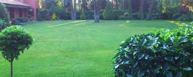 Mantenimiento de jardines