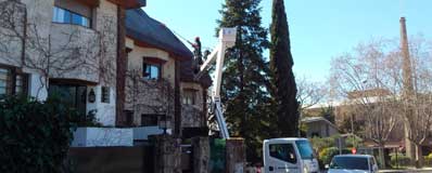 Poda en altura